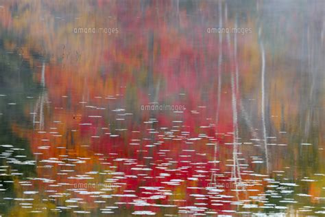 Autumn Reflections In Gryphon Lake At Dawn Espanola Ontario Canada