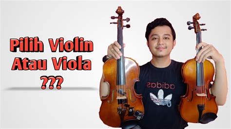 Persamaan Dan Perbedaan Antara Violin Dan Viola Bagaimana Dengan