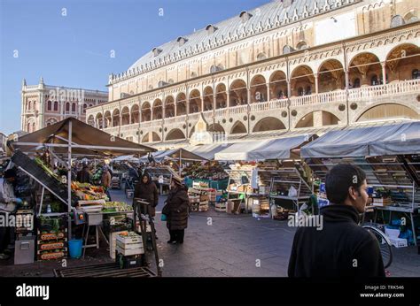 View Of The Traditional Fruit Market At Delle Erbe Square In Front Of The Palace Della