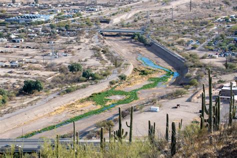 Photos Santa Cruz River In Tucson February 2021 The Water Desk