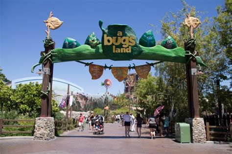 Disneyland Play Areas For Kids To Burn Off Energy Love