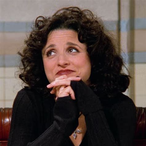Elaine Benes Icon In 2023 Elaine Benes Seinfeld Julia Louis Dreyfus
