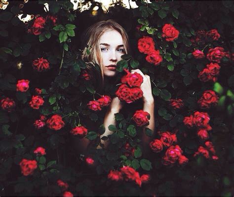 Pin De Untold Stories En × Lit A Court Of Thorns And Roses Portadas