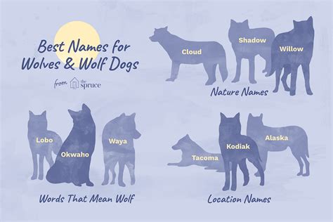 Pet Wolf and Wolfdog Names