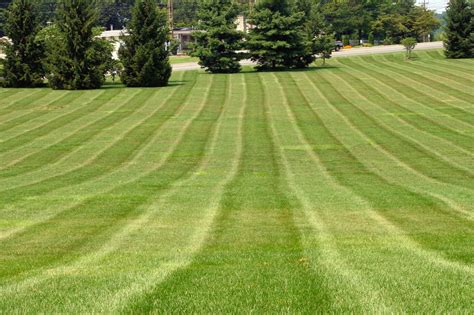 Learn How To Get Perfect Stripes On Your Lawn