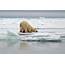 Melting Away The Slow Steady Death Of Polar Ice Caps  New York Post