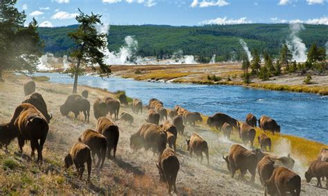 Our forefathers were convinced of this area's beauty and unique features so as to be moved to enact a law making it a special place in our. Yellowstone Was Only the Beginning - True West Magazine