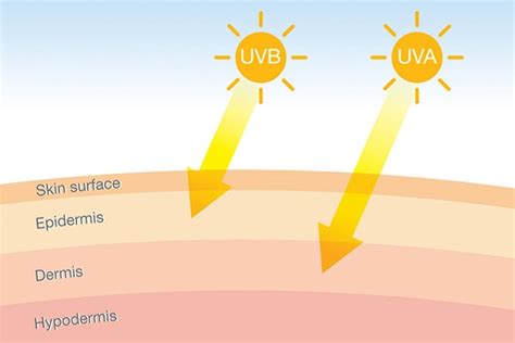 Difference Between Uva And Uvb Rays Be Beautiful India