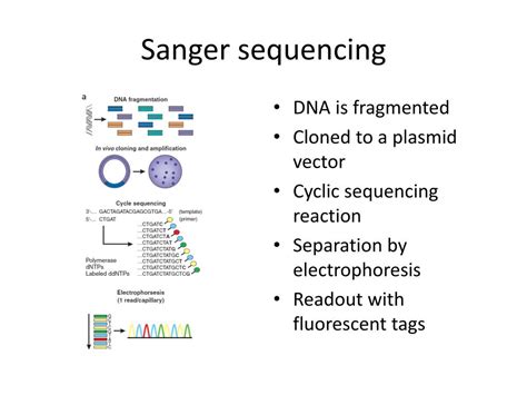 Ppt Introduction To Next Generation Sequencing Data And Related