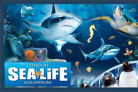 Londres Sea Life London Aquarium Tripadvisor