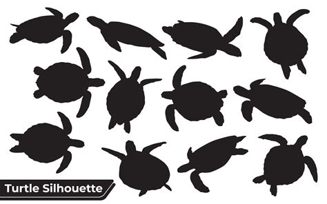 Collection Of Turtle Silhouettes Graphic By Adopik · Creative Fabrica