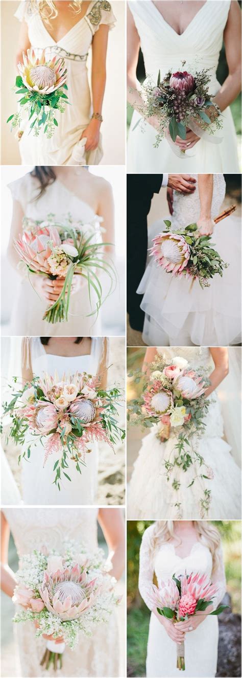 We have found 9 gorgeous tropical wedding bouquets to use as inspiration when discussing the bridal bouquet with your florist or wedding planner. 22 Tropical King Protea Wedding Bouquets Ideas ...