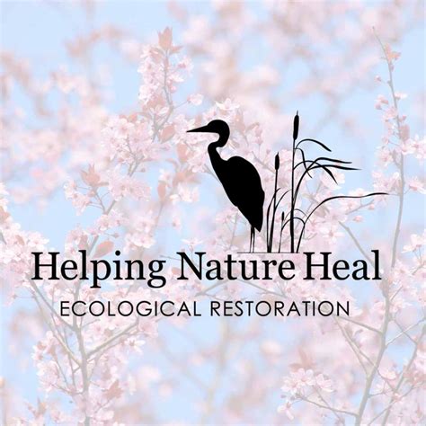 How Can We Help Your Nature Heal Helping Nature Heal