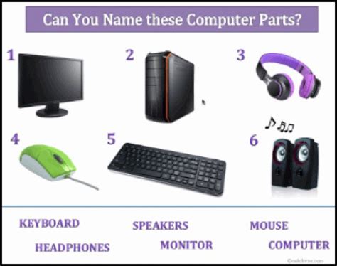 Can You Name These Basic Computer Parts Computerpartsandcomponents