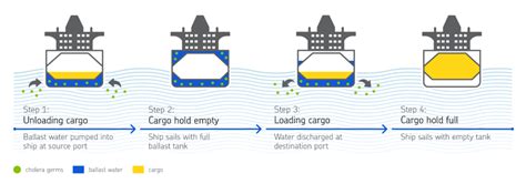 View 43 Cargo Ship Ballast System Diagram