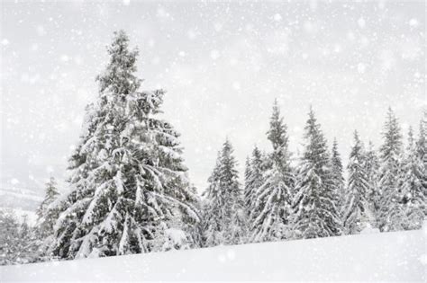 Beautiful Winter Landscape Stock Photo By ©volodymyrbur 39142625
