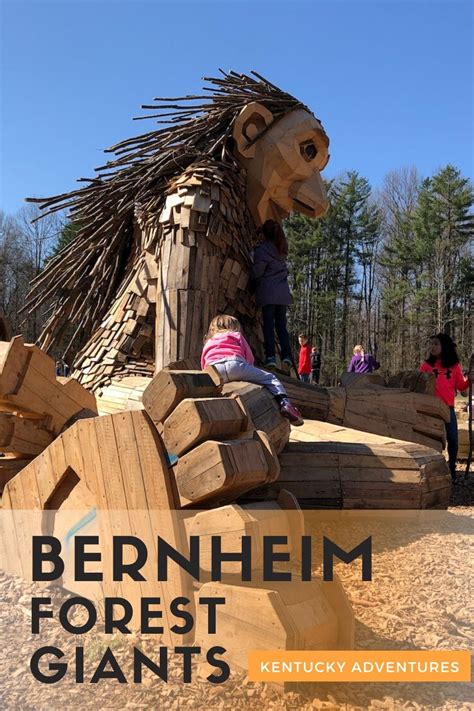 Bernheim Forest Giants State By State Travel