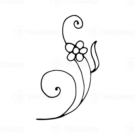 Beauty Floral Hand Drawn Ornament 24657136 Png
