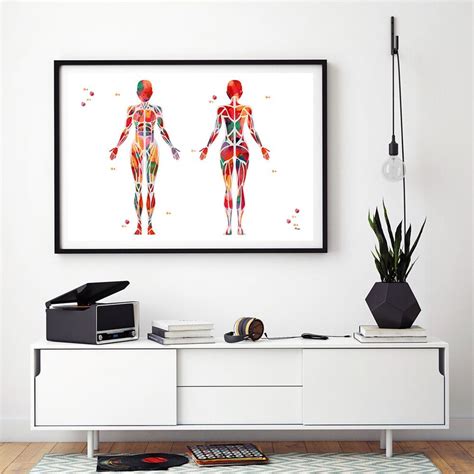 Female Muscular System Watercolor Print Anatomy Art Female Etsy