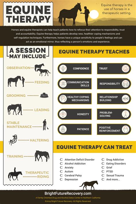Equine Assisted Therapy