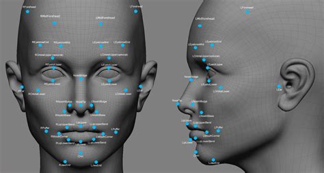 Biometric Facial Recognition Database Systems Eforensics