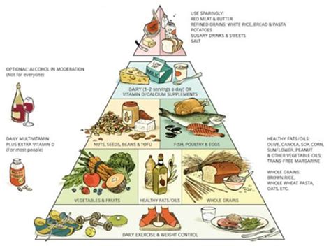 Foodpyramid.com understands the importance of nutrition, but also sees the great benefits of living a healthy lifestyle. Fogyás vagy hízás? Melyik a könnyebb?..... - Berta Csapat Blog
