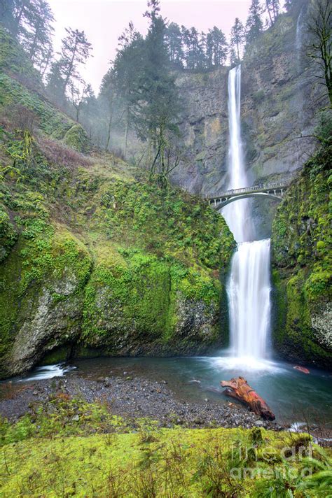 Multnomah Falls Waterfall Oregon Columbia River Gorge By