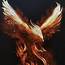 Fiery Phoenix  YouTube