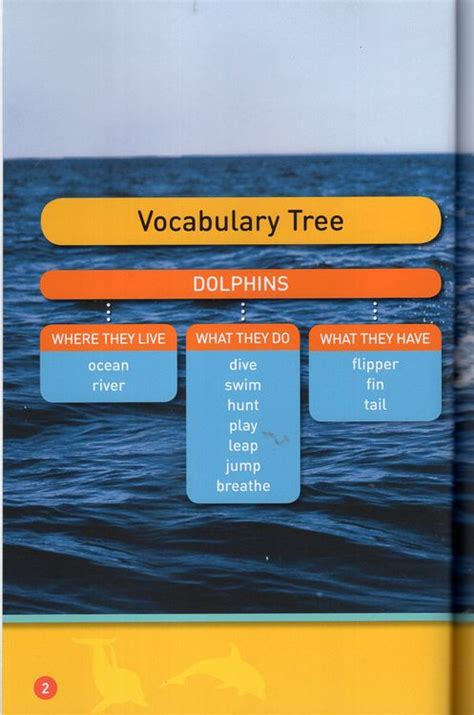 Dive Dolphin National Geographic Kids Readers Level Pre Reader