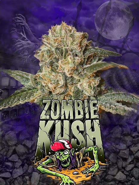 Zombie Kush New From Ripper Seeds Cannabis Seeds Usa