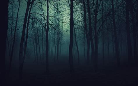 Landscapes Nature Trees Dark Night Forest 2560x1600 Nature Forests Hd
