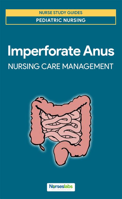 Imperforate Anus Nursing Care Management And Study Guide Nursing Study