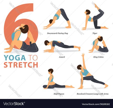 6 Yoga Poses For Body Stretching Concept Vector Image