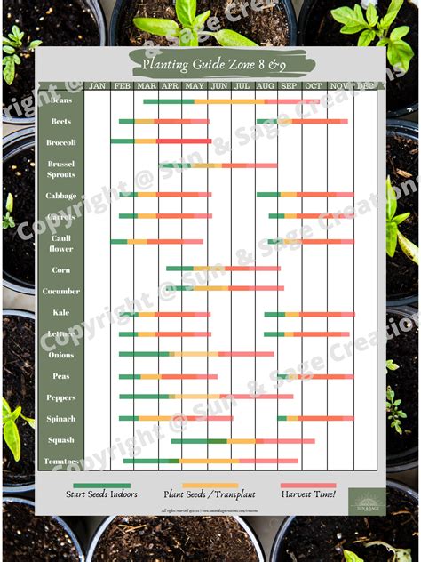 Vegetable Planting Guide Zone 7 Image To U
