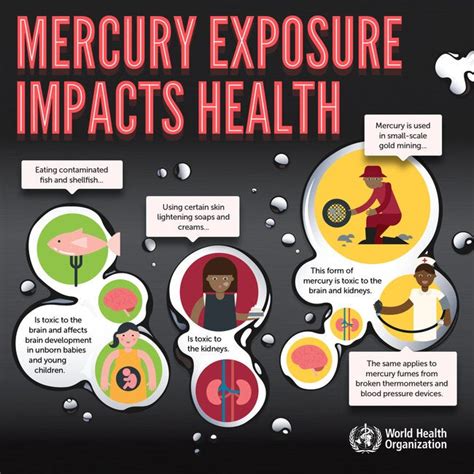 Infographic Mercury Exposure Impacts Health 2017 Pahowho Pan