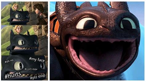 How To Train Your Dragon Memes Httyd Memes