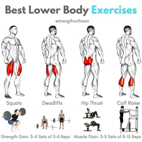 Best Lower Body Exercises Gym Workout Chart Body Workout Plan Gym