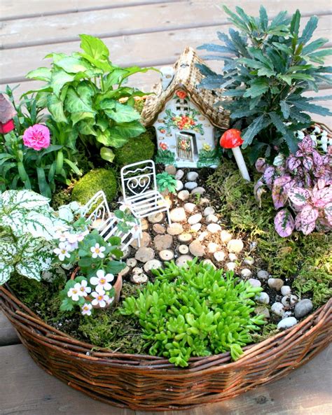 The top 50 miniature fairy garden design ideas. Take Your Pick! The Top 100 Miniature Fairy Garden Design ...
