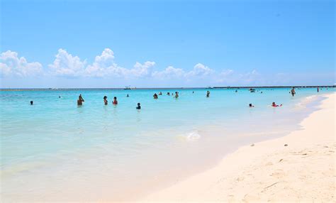 Cancún Playas Limpias De Sargazo Hoy 26 De Noviembre De 2019 La