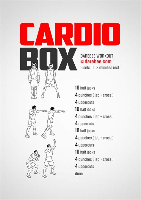 cardio box workout boxer workout boxing training workout mma workout kickboxing workout
