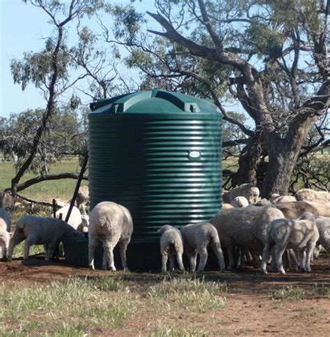 Stock Watering Tanks And Troughs Agriculture Polymaster