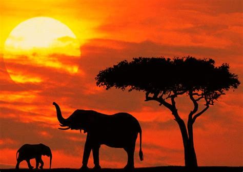 The Kenya Exotic Safari Peaks Of Africa