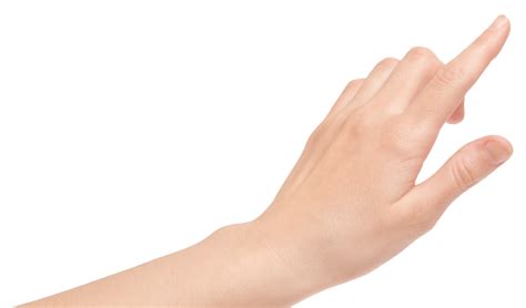 Collection Of Hands Png Pluspng
