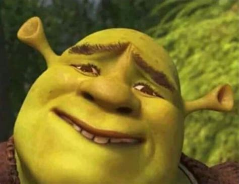 Ifunny is fun of your life. Pin en Shrek memes
