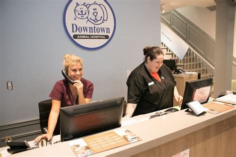 Any necessary biopsy samples are analyzed by a veterinary pathologist, allowing for precision guided. Take A Tour - Downtown Animal Hospital