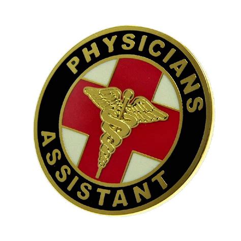 Physicians Assistant Lapel Pin Pa Pin Medical Pin Hospital Pin