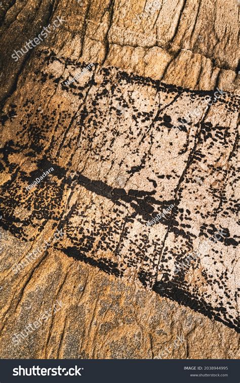 Fossil Rock Surface Rough Texture Birch Stock Photo 2038944995