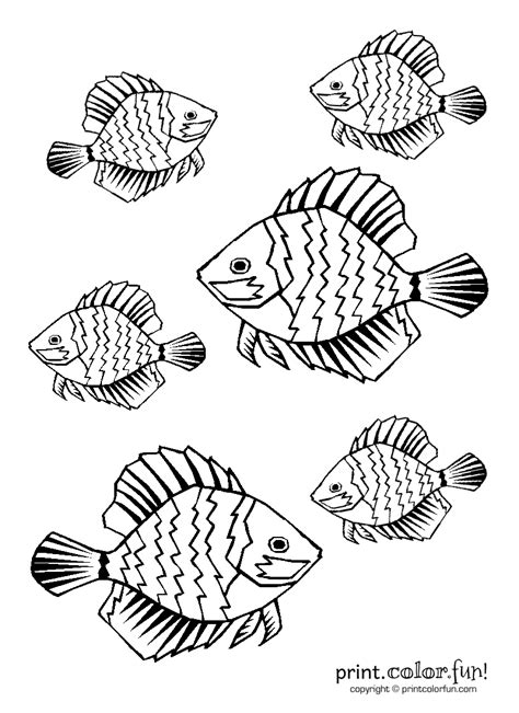 tropical fish coloring page print color fun