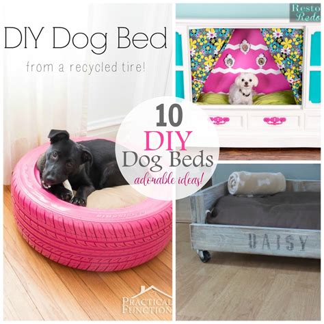 Diy Dog Bed Ideas The Taylor House