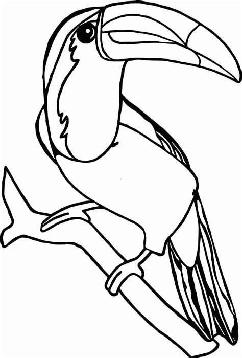 Rainforest Birds Coloring Pages In 2020 Bird Coloring Pages